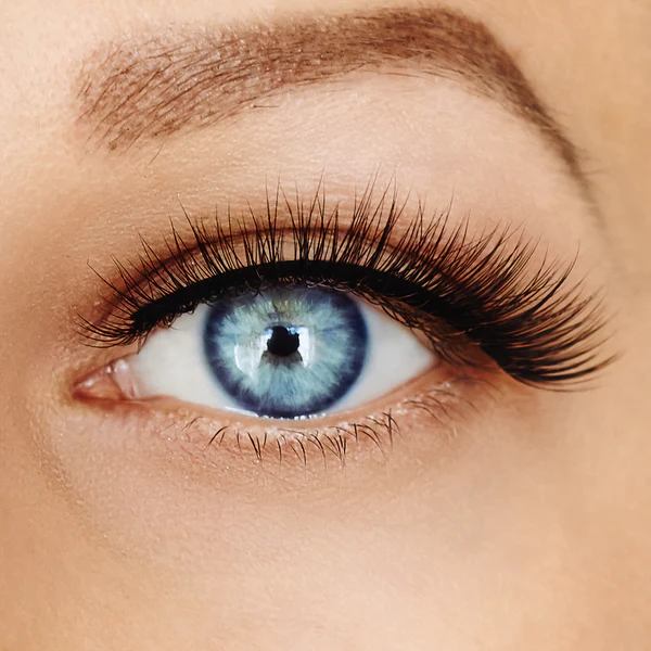 Veloura™ Magnetic Lashes