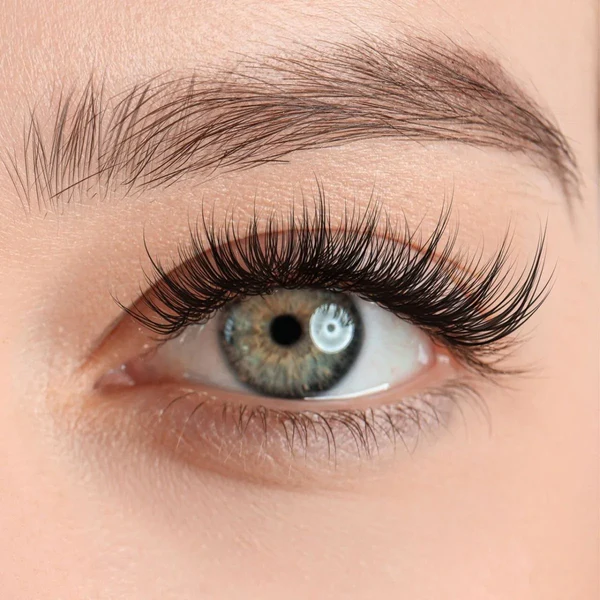 Veloura™ Magnetic Lashes