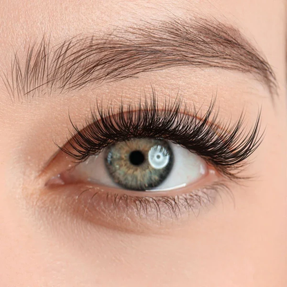Veloura™ Magnetic Lashes